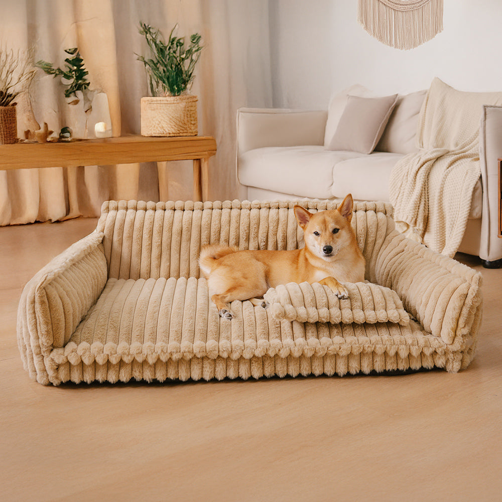 canapé chien orthopédique